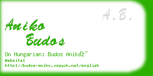 aniko budos business card